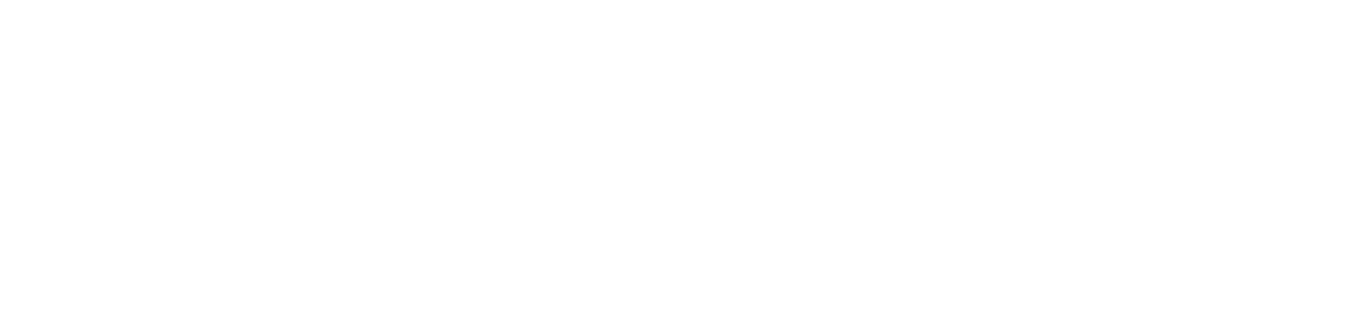 brustor-logo